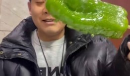 近期网红合集吃瓜事件